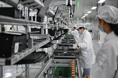 雄安新區(qū) 未來(lái)之城展新姿，綠化服務(wù)鑄就生態(tài)典范